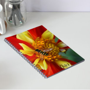 Hover Fly on Orange and Yellow Dahlia Notebook