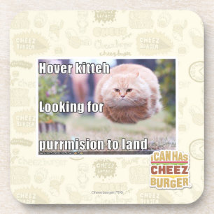 Hover kitteh coaster
