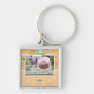 Hover kitteh key ring