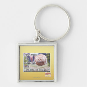 Hover kitteh key ring
