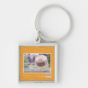 Hover kitteh key ring