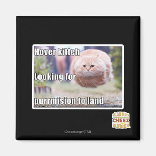 Hover kitteh magnet