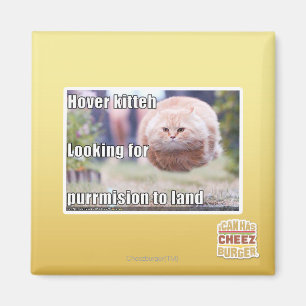 Hover kitteh magnet