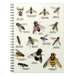 Hoverflies of the UK - Notebook