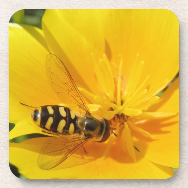 Hoverfly and Flower Cork Coaster (Front)