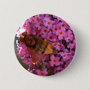 Hoverfly Button