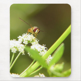 Hoverfly in Celery Mouse Mat