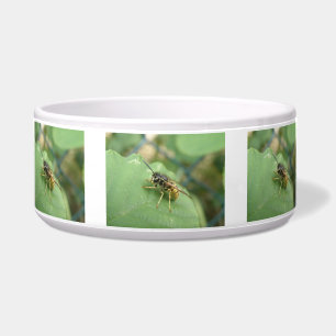 Hoverfly Macro Dog Bowl