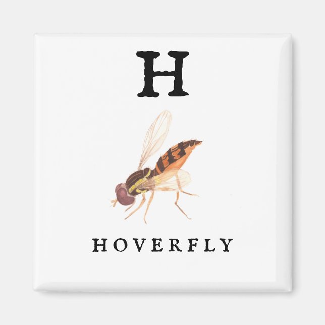 Hoverfly  magnet (Front)