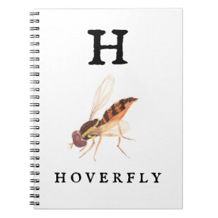 Hoverfly notebook