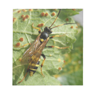 Hoverfly Notepad