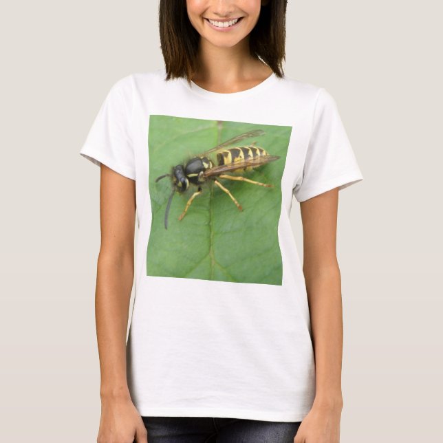 Hoverfly on a Leaf Ladies T Shirt (Front)