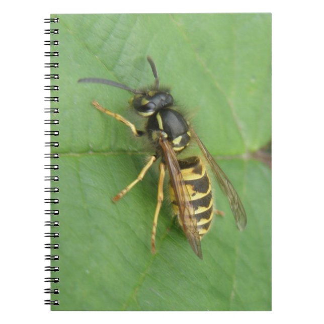 Hoverfly on a Leaf Notebook (Front)