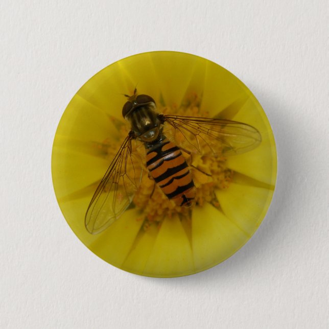 Hoverfly on a Marigold Button (Front)