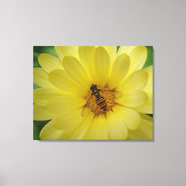 Hoverfly on a Marigold Canvas Print (Front)