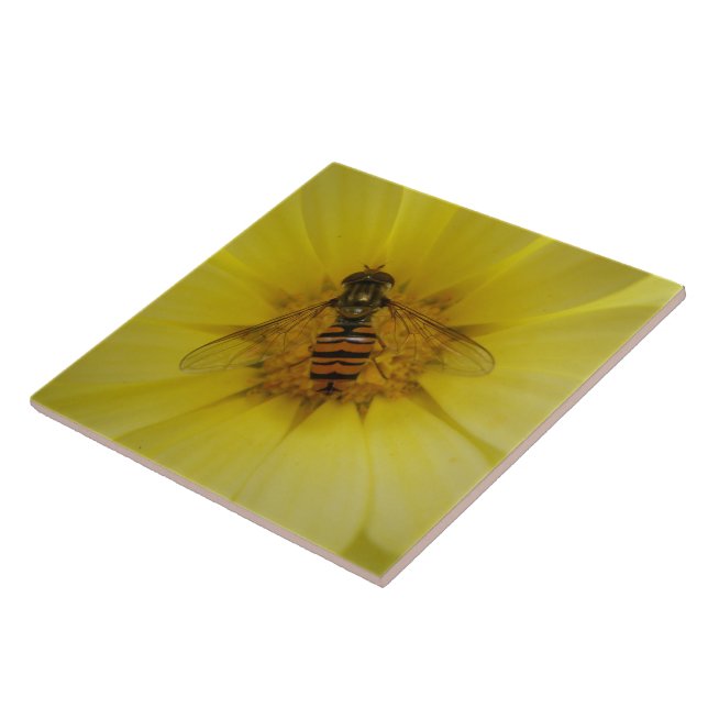 Hoverfly on a Marigold Tile (Side)