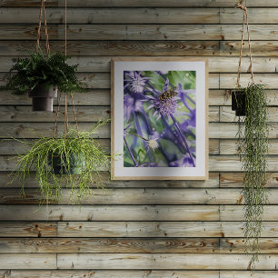 Hoverfly on Purple Eryngium Thistle Flower Photo Print