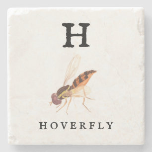 Hoverfly stone coaster