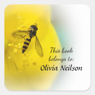 Hoverfly "This book belongs to" sticker