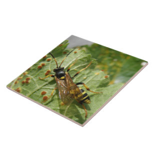 Hoverfly Tile