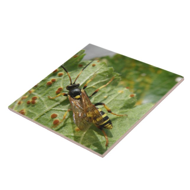 Hoverfly Tile (Side)