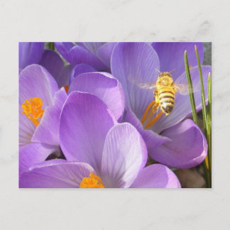 Hovering Bee ~ postcard