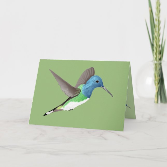 Hovering Jacobin Hummingbird - transparent.  Card (Front)
