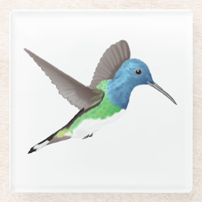 Hovering Jacobin Hummingbird - transparent. Glass Coaster (Front)