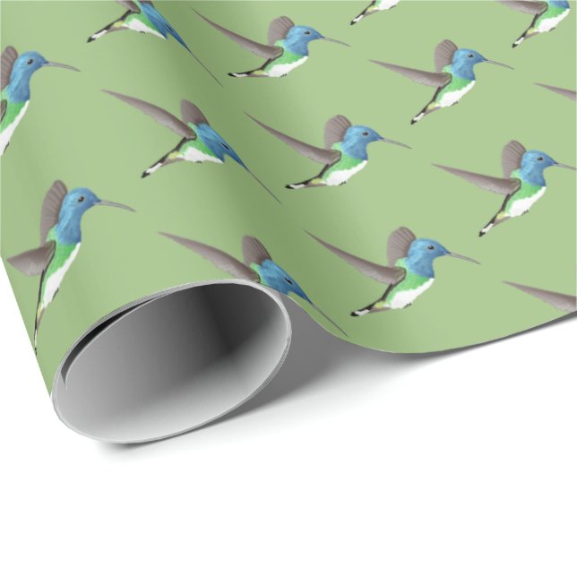 Hovering Jacobin Hummingbird - transparent.   Wrapping Paper (Roll Corner)