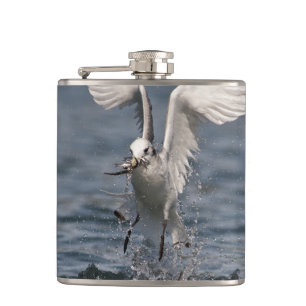 Hovering Kittiwake Hip Flask