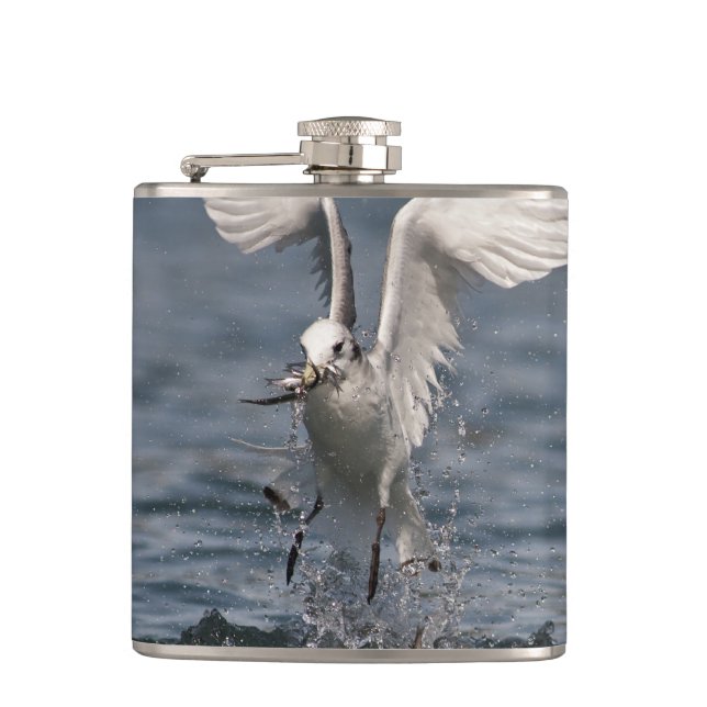 Hovering Kittiwake Hip Flask (Front)