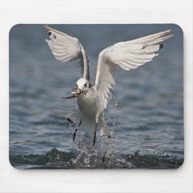 Hovering Kittiwake Mouse Mat (Front)