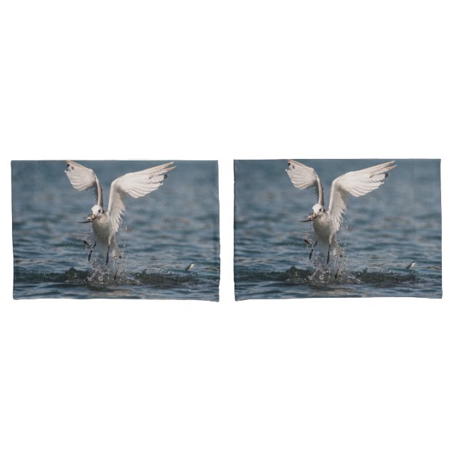 Hovering Kittiwake Pillowcase (Front-Set)
