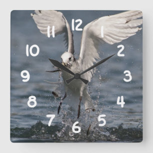 Hovering Kittiwake Square Wall Clock
