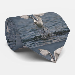 Hovering Kittiwake Tie