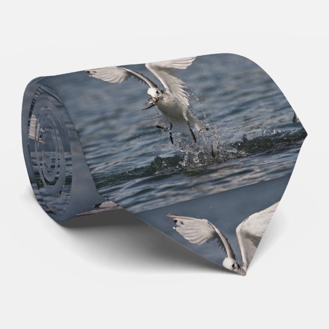 Hovering Kittiwake Tie (Rolled)