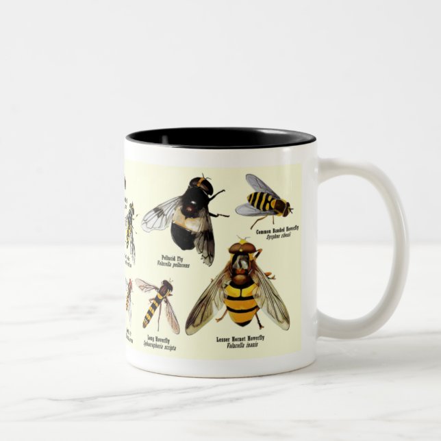Hoveryfly Mug - 2 tone (Right)