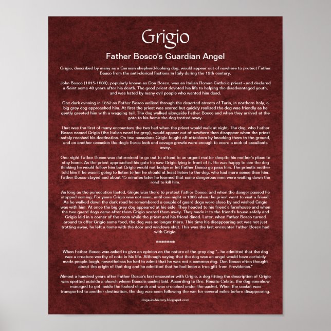 How a Guardian Angel Dog Guarded a Catholic Priest Poster (Front)