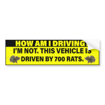 How Am I Driving? 700 Rats Driving 