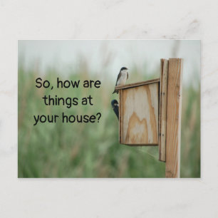 How are things Thinking of You Birds Postcard