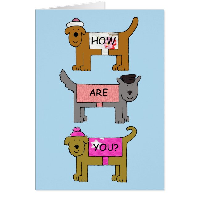 How Are You Dogs Wearing Clothes (Front)