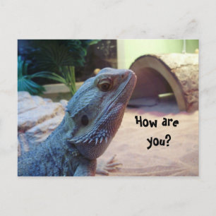 How are you? postcard