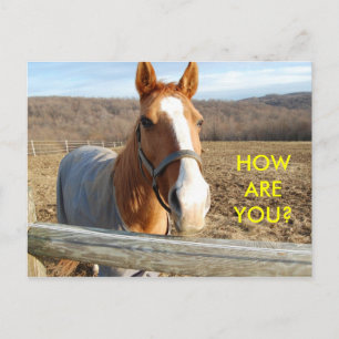 HOW ARE YOU? - postcard