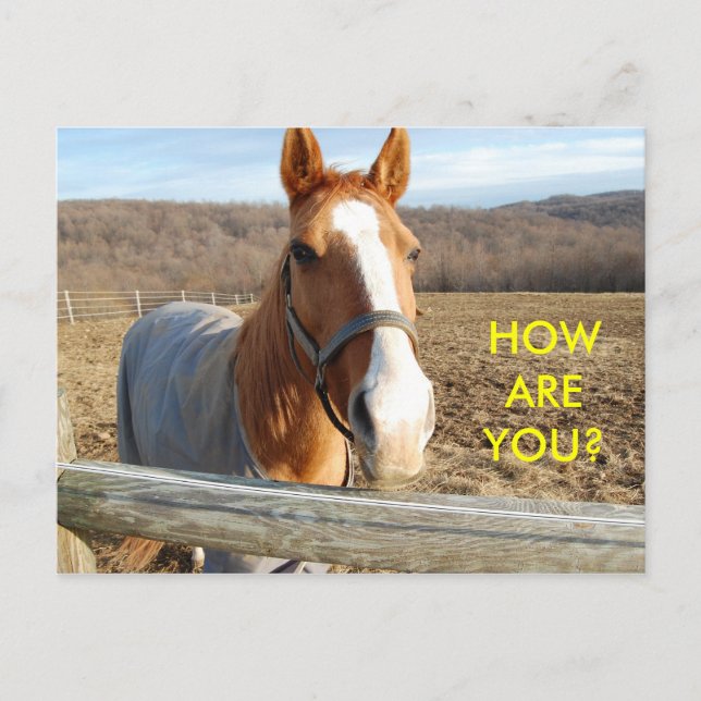 HOW ARE YOU? - postcard (Front)