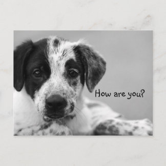 How are you? postcard
