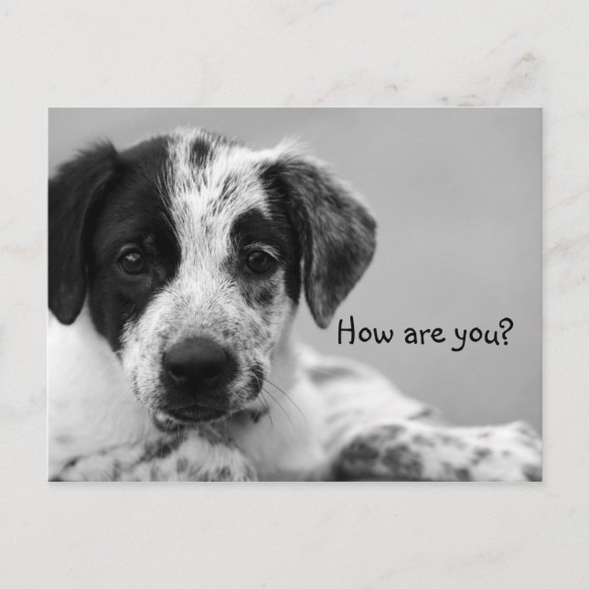 How are you? postcard (Front)