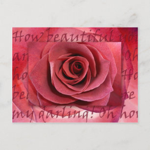 How Beautiful You Are Postcard