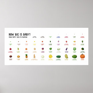 How Big is Baby? Pregnancy size fruit poster