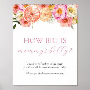 How Big is Mummy's Belly Baby Shower Game Sign