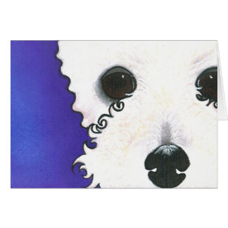 How 'Bout A Close-up?